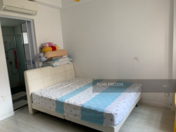 Chestervale (D23), Condominium #252373001